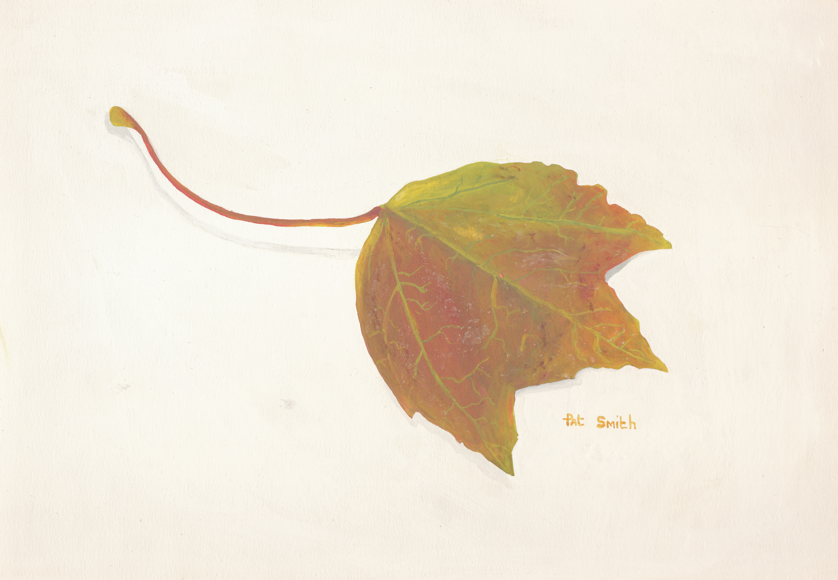 Leaf
